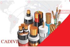 Dây Cáp Điện Cadivi Chính Hãng Có Giá Tốt Nhất Dành Cho Khách Hàng