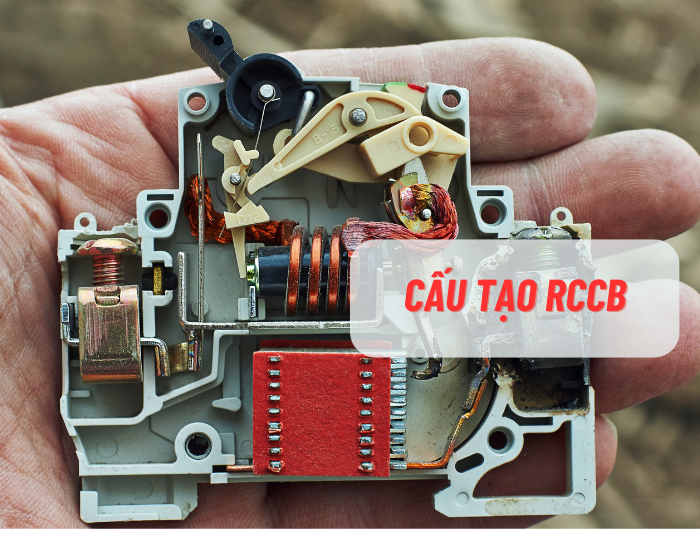 cau-tao-rccb