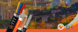 Bảng Giá Dây Cáp điện Tài Trường Thành Mới Nhất Năm 2024