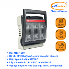 Ngắt Mạch Cầu Chì MT3P-250