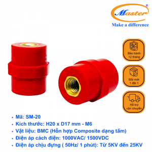 Gối đỡ SM 20 Master