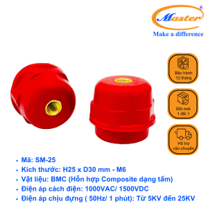 Gối đỡ SM 25 Master