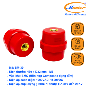 Gối đỡ SM 30 Master