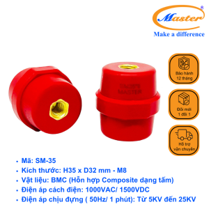 Gối đỡ SM 35 Master