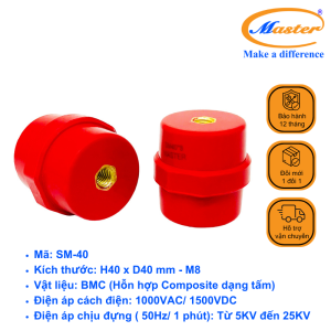 Gối đỡ SM 40 Master